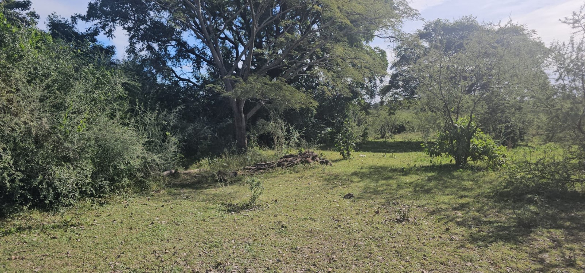 VENTA 5has. Zona La Jaula